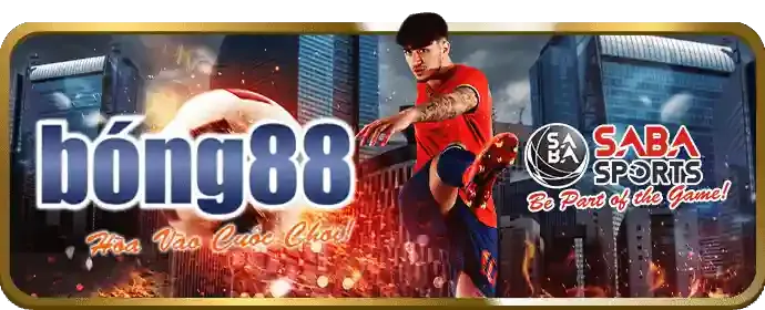 Cá cược bóng rổ vin99 club